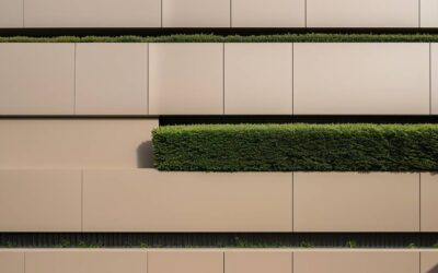 Jaki tynk silikonowo-silikatowy zapewni trwałość elewacji?