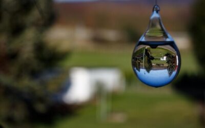 Czy kule nawadniające rzeczywiście działają w ogrodzie?