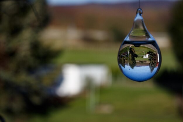 Czy kule nawadniające rzeczywiście działają w ogrodzie?