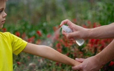 Domowy sposób na walkę z komarami – jak zrobić skuteczny środek?