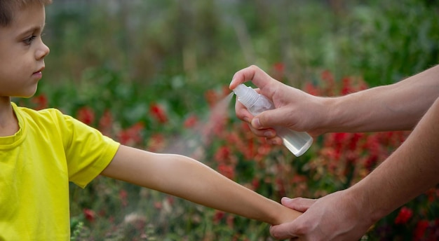 Domowy sposób na walkę z komarami - jak zrobić skuteczny środek?