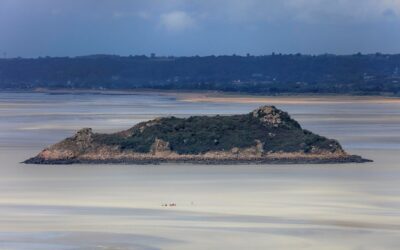 Ile dysperbit potrzebujesz na metr kwadratowy powierzchni?