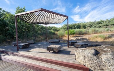 Ile kosztuje pergola – ceny na rynku i od czego zależą?