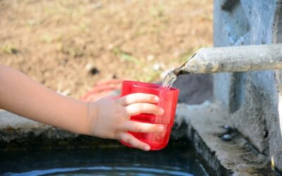 Jak samodzielnie sprawdzić poziom wód gruntowych na działce?