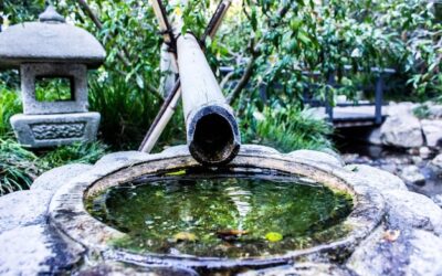 Jak samodzielnie zrobić napowietrzacz do oczka wodnego?