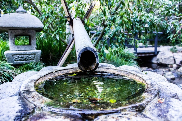 Jak samodzielnie zrobić napowietrzacz do oczka wodnego?