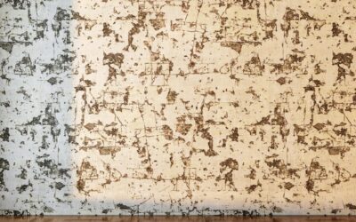 Jak skutecznie zedrzeć starą tapetę bez uszkodzenia ściany?