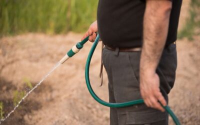 Jak zrobić własny wąż do podlewania kropelkowego w ogrodzie?