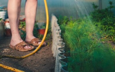 Jakie ciśnienie w linii kroplującej zapewni optymalne nawadnianie?