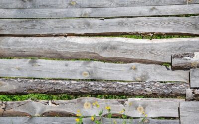 Jakie drewno sprawdzi się najlepiej na ogrodzenie?