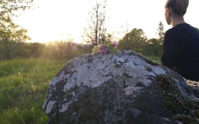 Jakie rośliny sprawdzą się na skalniaku w zacienionym miejscu?