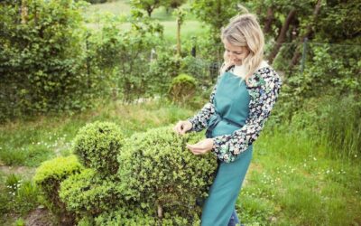 Jakim nawozem podsypać tuje wiosną, aby pięknie rosły?