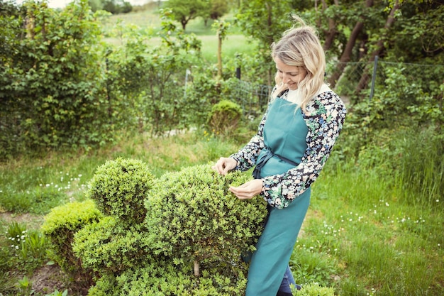 Jakim nawozem podsypać tuje wiosną, aby pięknie rosły?