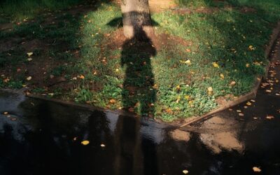 Sprytne sposoby rozprowadzania wody deszczowej na działce