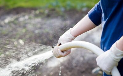 Zimowe przygotowania ogrodu: jak spuścić wodę z systemu nawadniającego?