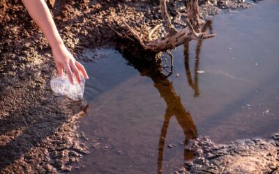 Czym są wody gruntowe i jakie mają znaczenie dla środowiska?