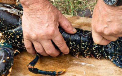 Czym żywi się zaskroniec zwyczajny w swoim naturalnym środowisku?
