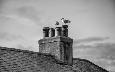 Jak często należy czyścić stopnie kominiarskie?