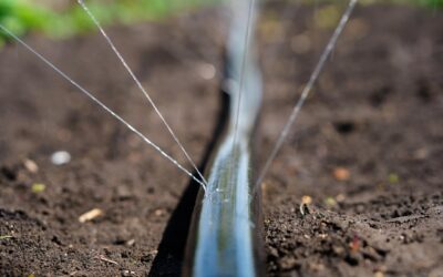 Jak prawidłowo podłączyć linię kroplującą w ogrodzie?