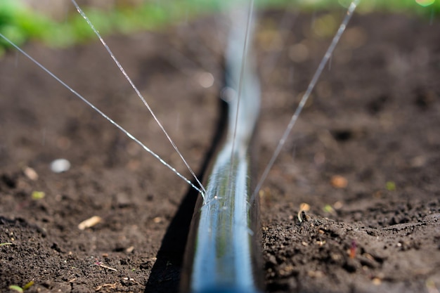 Jak prawidłowo podłączyć linię kroplującą w ogrodzie?