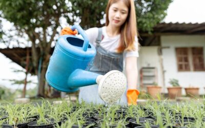 Jak samodzielnie zorganizować system podlewania ogrodu?