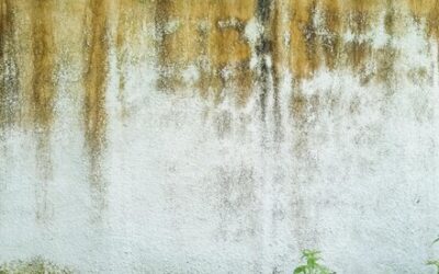 Jak skutecznie zlikwidować wilgoć na ścianach i odzyskać komfort w domu?