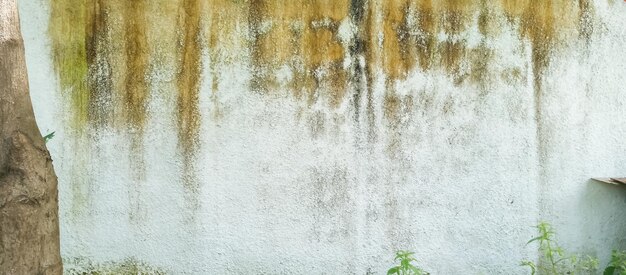 Jak skutecznie zlikwidować wilgoć na ścianach i odzyskać komfort w domu?