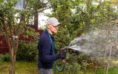 Jaką pompę wody wybrać do skutecznego podlewania ogrodu?