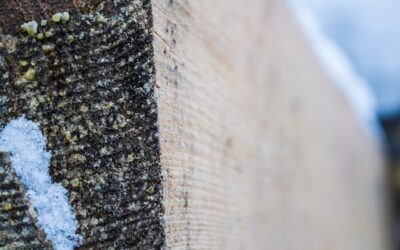 Jaki styropian wybrać do ocieplenia piwnicy?