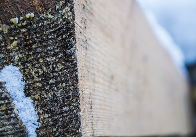 Jaki styropian wybrać do ocieplenia piwnicy?