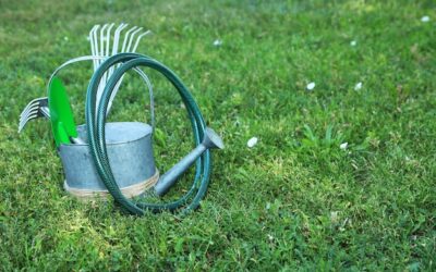 Jaki system nawadniania trawnika wybrać dla swojego ogrodu?