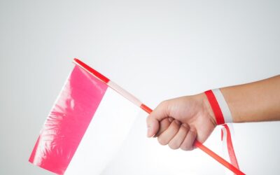 Którą stroną kłaść folię kubełkową na fundamenty?