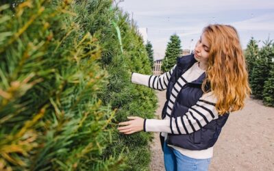 Sprawdzona metoda przesadzania dużych tui we własnym ogrodzie