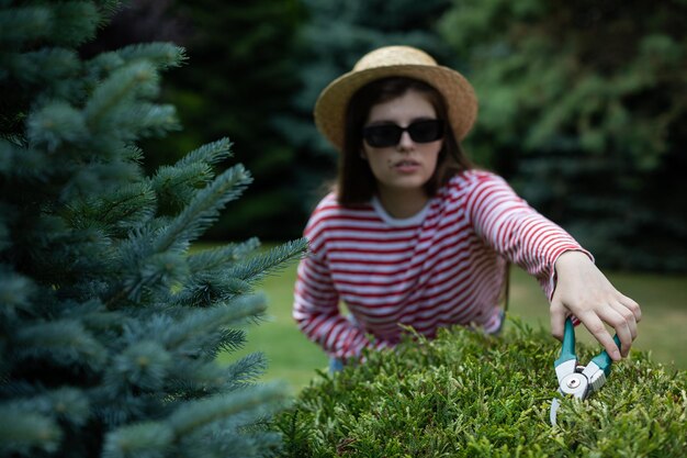 Sztuka cięcia tui w spirale – jak nadać krzewom niepowtarzalny kształt?