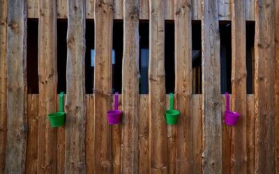 Jakie drewno najlepiej sprawdzi się na płot w Twoim ogrodzie?