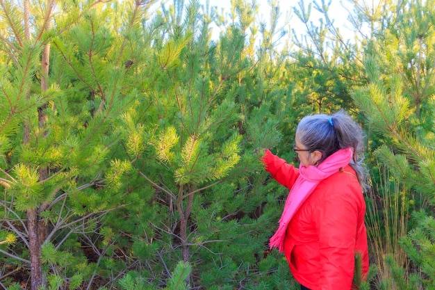 Kiedy przycinać tuje, aby zachowały piękny kształt?
