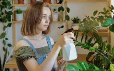 Jak skutecznie pozbyć się komarów w domu na dobre?