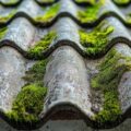 Jak skutecznie usunąć mech z dachówki bez uszkodzenia pokrycia?