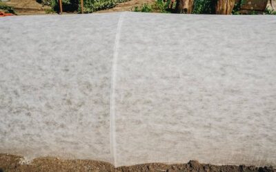 Jaką izolację wybrać do ław fundamentowych – papę czy folię?