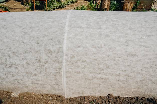 Jaką izolację wybrać do ław fundamentowych - papę czy folię?