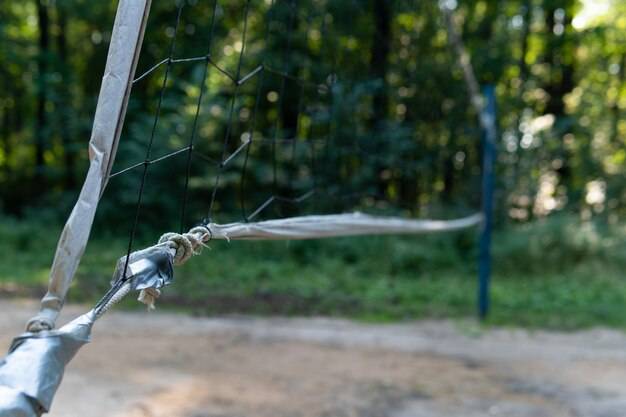 Jaki iglak sprawdzi się najlepiej jako żywopłot w ogrodzie?