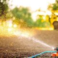 Jakie zraszacze polecają ogrodnicy do pielęgnacji trawnika?