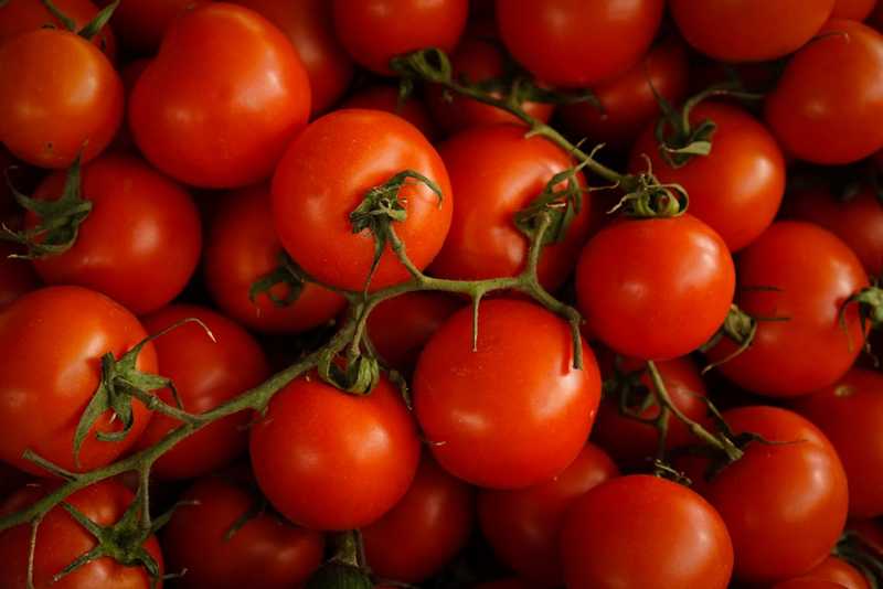 Pomidorki koktajlowe na balkonie - lipiec to pełnia zbiorów